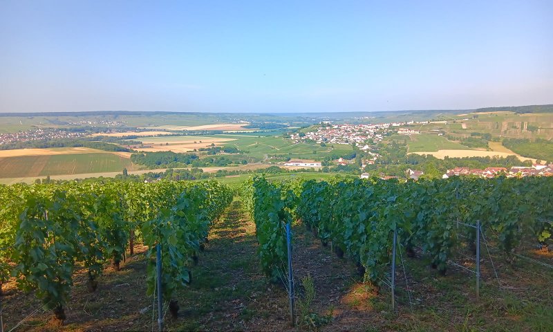 Vallée de la Marne saison 2025