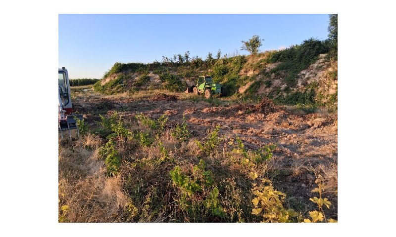 Bientôt une nouvelle parcelle de vignes 2